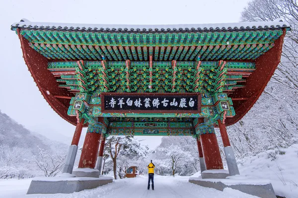 Profesyonel fotoğrafçı Baekyangsa Tapınağı ve yağan kar, kış, güney Korea.Winter manzara dağda Naejangsan kapısında kamera ile fotoğraf çeker. — Stok fotoğraf