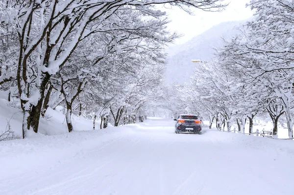 Αυτοκίνητο και πτώσης χιονιού το χειμώνα σε δασικό δρόμο με πολύ χιόνι. — Φωτογραφία Αρχείου