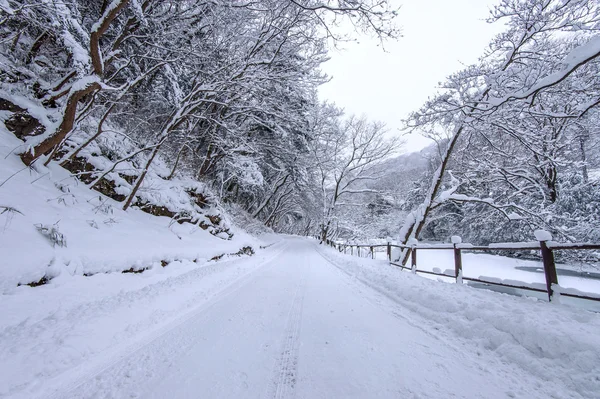 Camino en invierno . — Foto de Stock