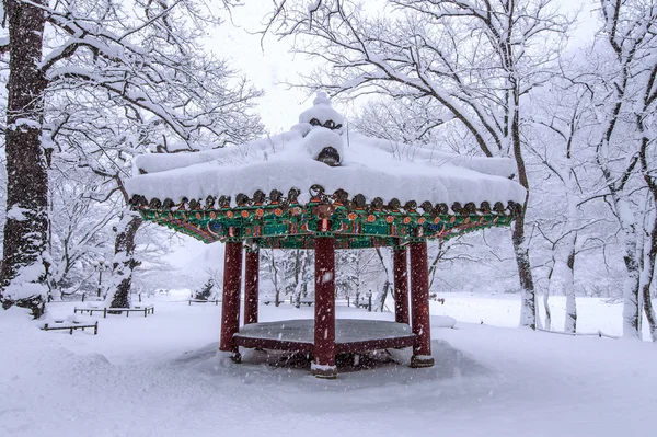 Landschaft im Winter mit fallendem Schnee in seoul, Südkorea. — Stockfoto