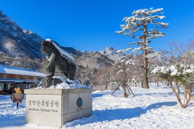 Seoraksan Milli Parkı kış konumu üzerinde Gangwon, Güney Kore.