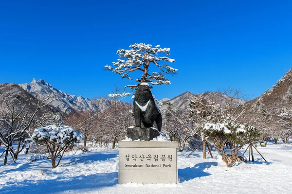 겨울 위치 한국 강원도에 있는 설악산 국립 공원. — 스톡 사진