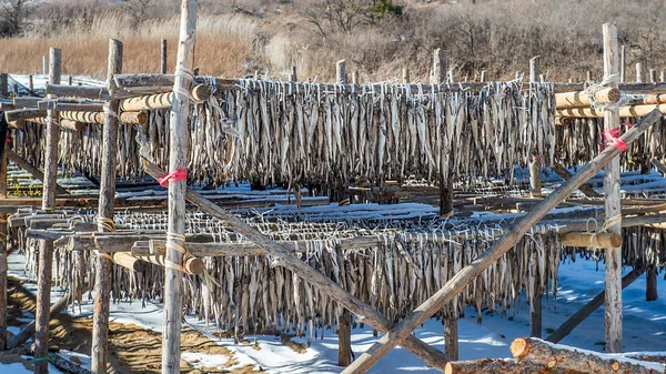 Almacenamiento o secado de pescado en Corea del Sur . — Foto de Stock