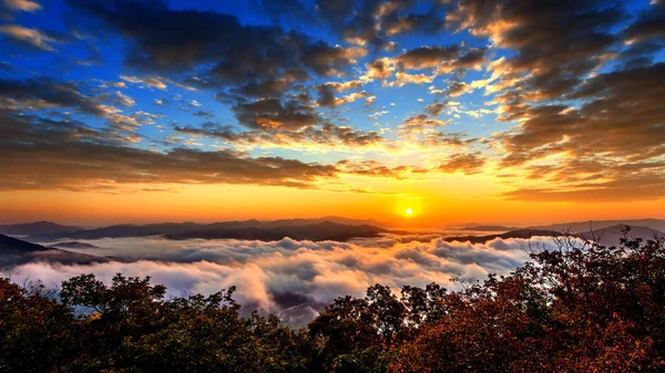 Les montagnes Seoraksan sont couvertes par le brouillard matinal et le lever du soleil à Séoul, en Corée . — Photo