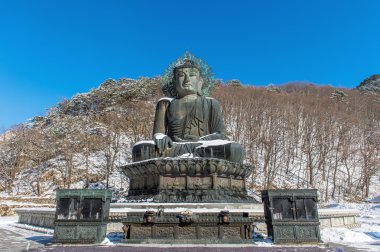 Büyük Buda anıt Sinheungsa Tapınağı Seoraksan Milli Parkı'nda kışın, Güney Kore.