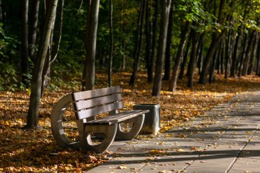 Rus parkındaki bankta.