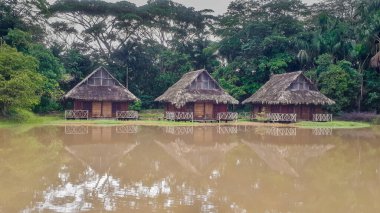 Ormandaki bir gölün yanındaki kır evi bitkilerle çevrili.