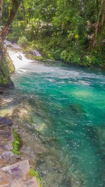 Ormanda kristal berrak turkuaz akıntısı