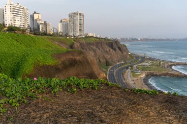 Miraflores Lima Peru 'dan okyanus manzarası, çimenli ve kıyısı olan bir uçurum.