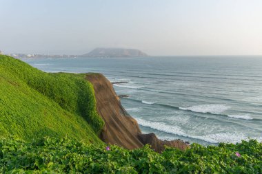 Miraflores Bölgesi Peru 'dan okyanus manzarası, bir uçurum, ağaç ve yeşil otlar.