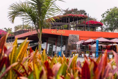 La Muralla Restoran manzarası odaklanmamış yapraklar, ağaçlar berrak gökyüzü