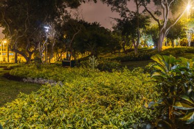 Akşamları bir sürü yaprak ve ağaç olan bir park.