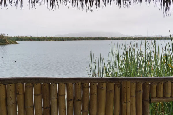 Lagoon Lookout Made Wood Pantanos Villa Chorrillos Lima Peru — Foto de Stock