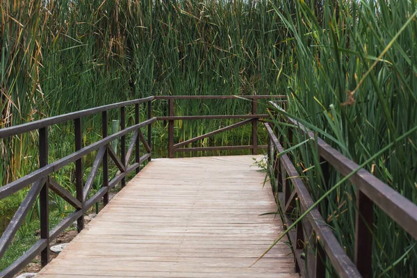 Wooden path in Pantanos de Villa alongside a pond in Pantanos de Villa Chorrillos Lima Peru