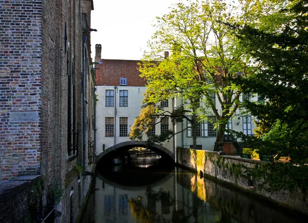 Kanál v Bruggách — Stock fotografie