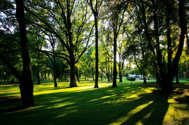 Gün batımında gölgelerde Şehir Parkı