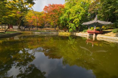 Japon bina pavilion Park
