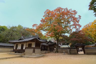 Japon bina pavilion Park