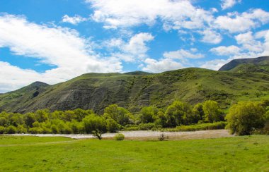 Dağları, ormanı ve önünde bir nehri olan bir manzara. Güzel manzara.