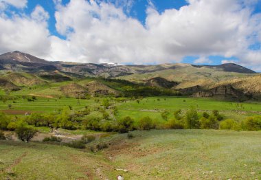 Dağlı manzara, önünde orman. Güzel manzara.