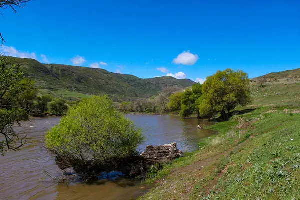 Paisaje con montañas, bosque y un río en frente. hermoso paisaje — Foto de Stock