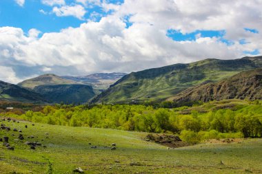 Dağları, ormanı ve önünde bir nehri olan bir manzara. Güzel manzara.