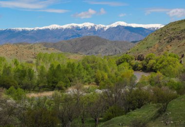 Dağlı manzara, önünde orman. Güzel manzara.