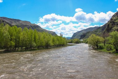 Dağları, ormanı ve önünde bir nehri olan bir manzara. Güzel manzara.