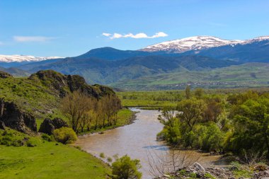 Dağları, ormanı ve önünde bir nehri olan bir manzara. Güzel manzara.