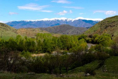 Dağları, ormanı ve önünde bir nehri olan bir manzara. Güzel manzara.