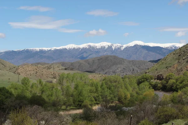 Paisaje con montañas, bosque y un río en frente. hermoso paisaje — Foto de Stock