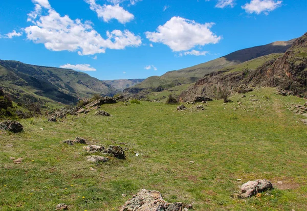 Пейзаж с горами, лес впереди. красивые пейзажи — стоковое фото