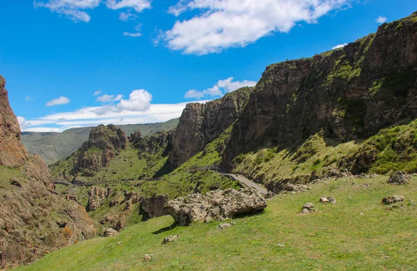 Paisaje con montañas, bosque en frente. hermoso paisaje — Foto de Stock