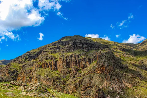 Paisaje con montañas, bosque en frente. hermoso paisaje — Foto de Stock