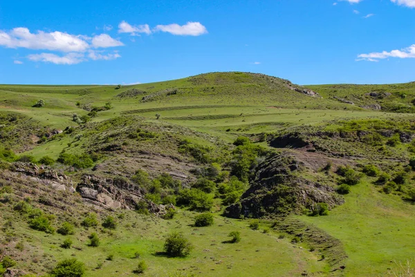 Landschaft mit Bergen, davor Wald. schöne Landschaft — Stockfoto