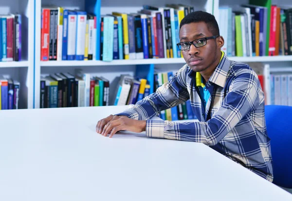 Student learning in the library — Stock Photo, Image