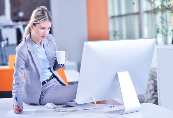 Successful business woman — Stock Photo, Image