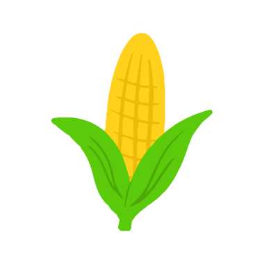 Minimalist El Çizimi Mısır Koçan Çizimi, Sarı Sebze