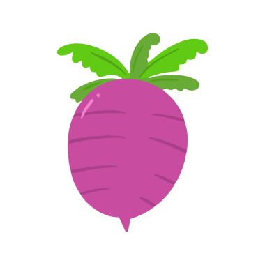 Yeşil Yapraklı El Çizimi Mor Turp Çizimi, Minimalist Kök Sebze