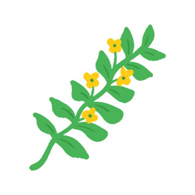 Sarı Çiçekli Yeşil Şube Botanik El Çizimi