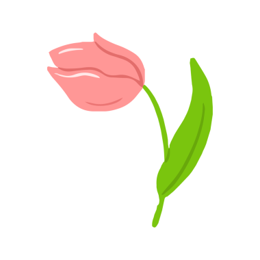 Yeşil Yaprak Basit Resimli Pembe Lale Çiçeği