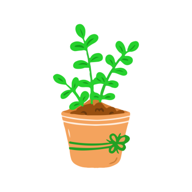 Yeşil Yapraklı Dekoratif Saksı Bitkisi