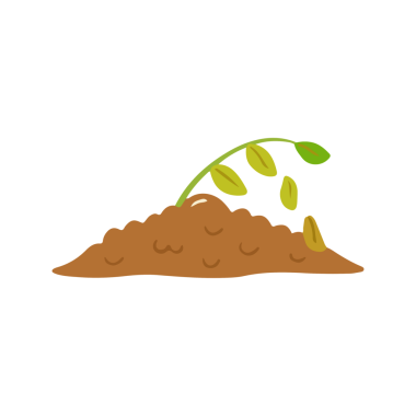 Tohum Toprakta Büyüyen Genç Filizler