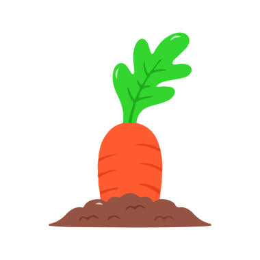 Toprakta Tek Havuç Bitkisi Büyüyor