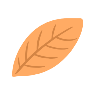 Basit Sonbahar Turuncu Yaprak Dekoratif Elementi