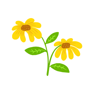 Parlak Sarı Papatya Çiçeği Basit El Çizimi Çizimi