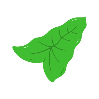 El Çizimi Çift Yaprak Tropik Bitki