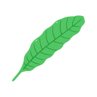 El Çizimi Yeşil Uzun Yaprak Çizimi