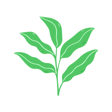 Yaprak Resimlerinin El Çizimi Yeşil Sprig 'i