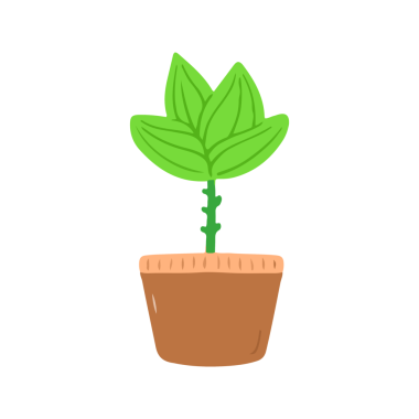 Kahverengi Saksıda Yeşil Bitki